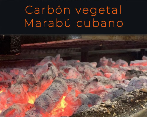 Carbones Otzarreta - Lasarte/Oria - Carbón Marabú cubano