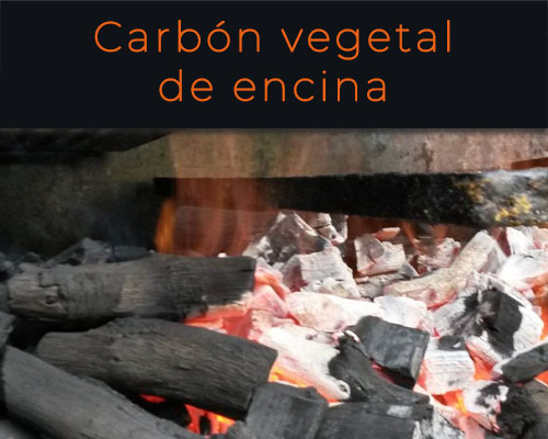 Carbones Otzarreta - Lasarte/Oria - Carbón de encina